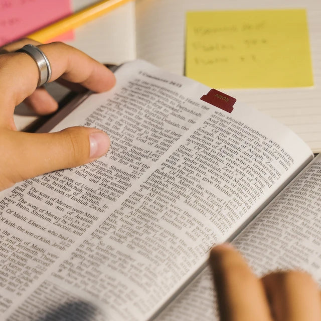 Laminated Bible Bookmarks (10 Sheets)